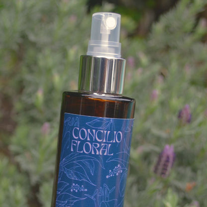 Concilio Floral - Perfume Botánico con Lavanda, Incienso y Salvia