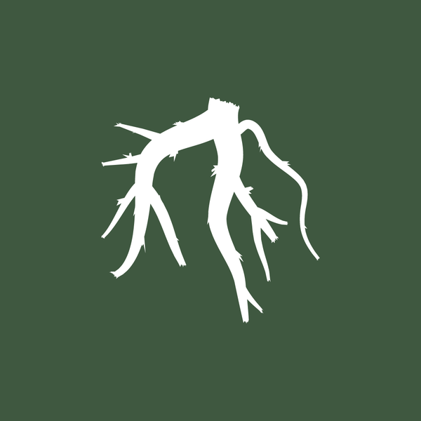 Tierra Fértil — Aromaterapia Natural en Chile