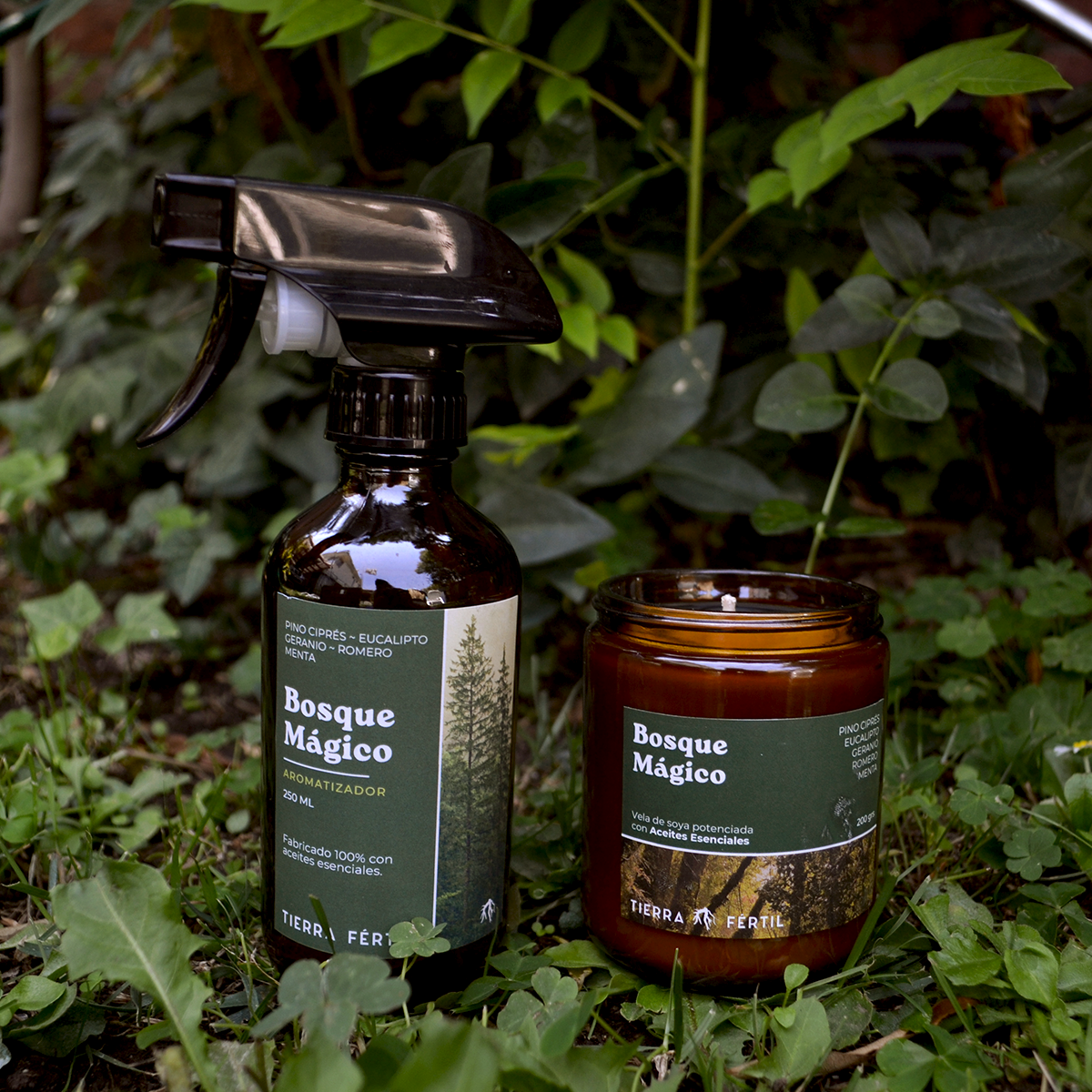 Pack de vela más aromatizador con aromas amaderados para crear un ambiente relajante en el hogar