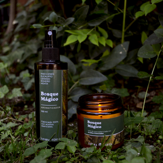 Pack vela de soya aroma Bosque Mágico y aromatizar para el hogar con aceites esenciales puros