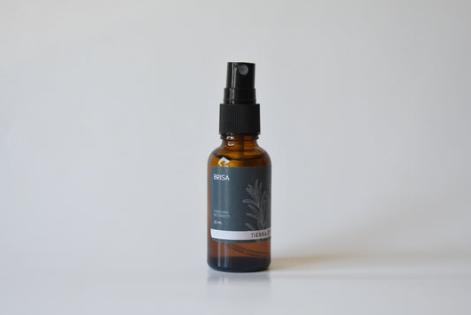 Perfume botánico Brisa con ciprés, cedro y anís, aroma amaderado fresco y natural