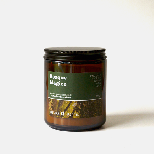 Vela aromática natural con aroma a bosque para crear un ambiente de conexión con la naturaleza